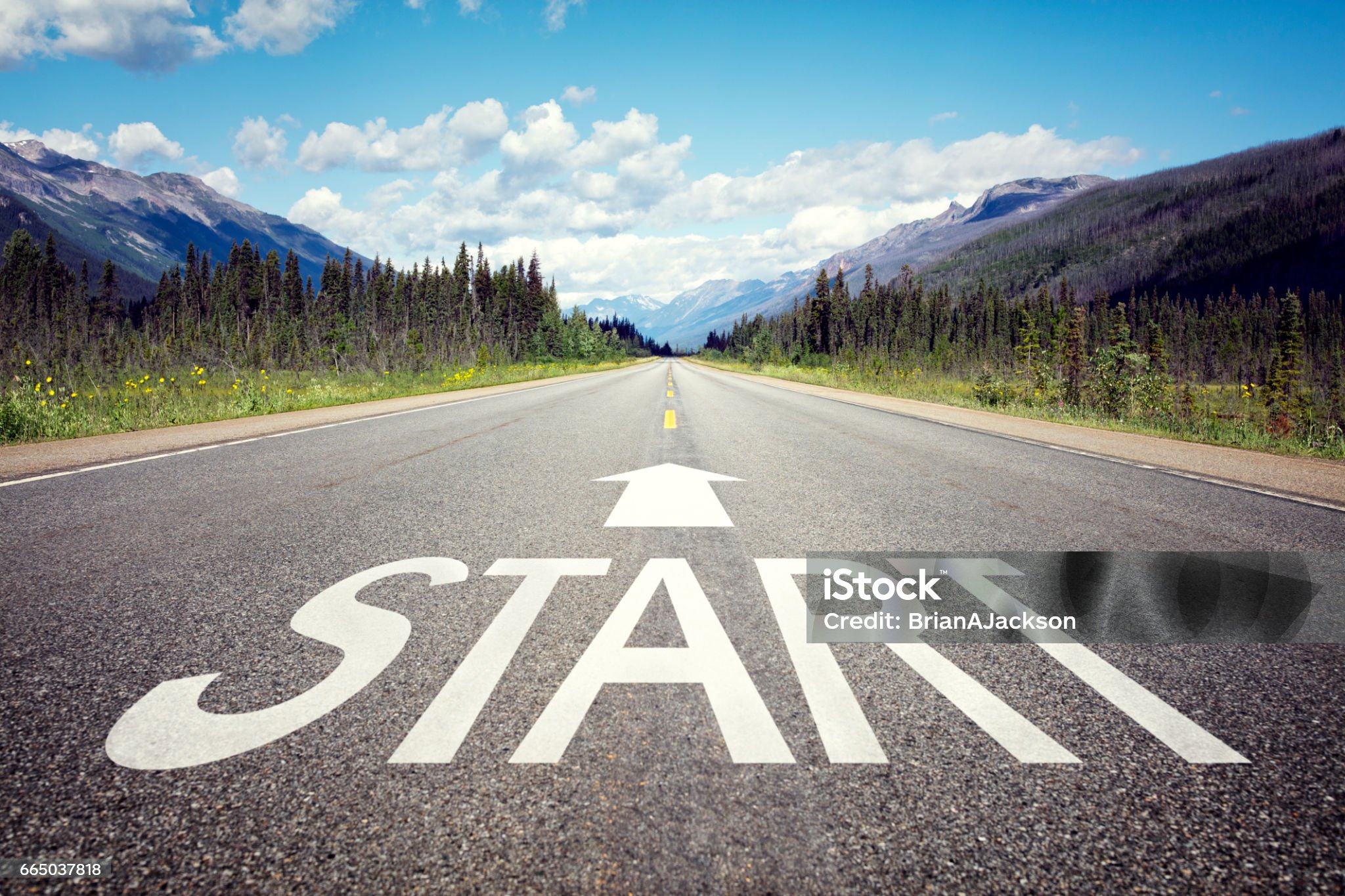 L'équipe au complet